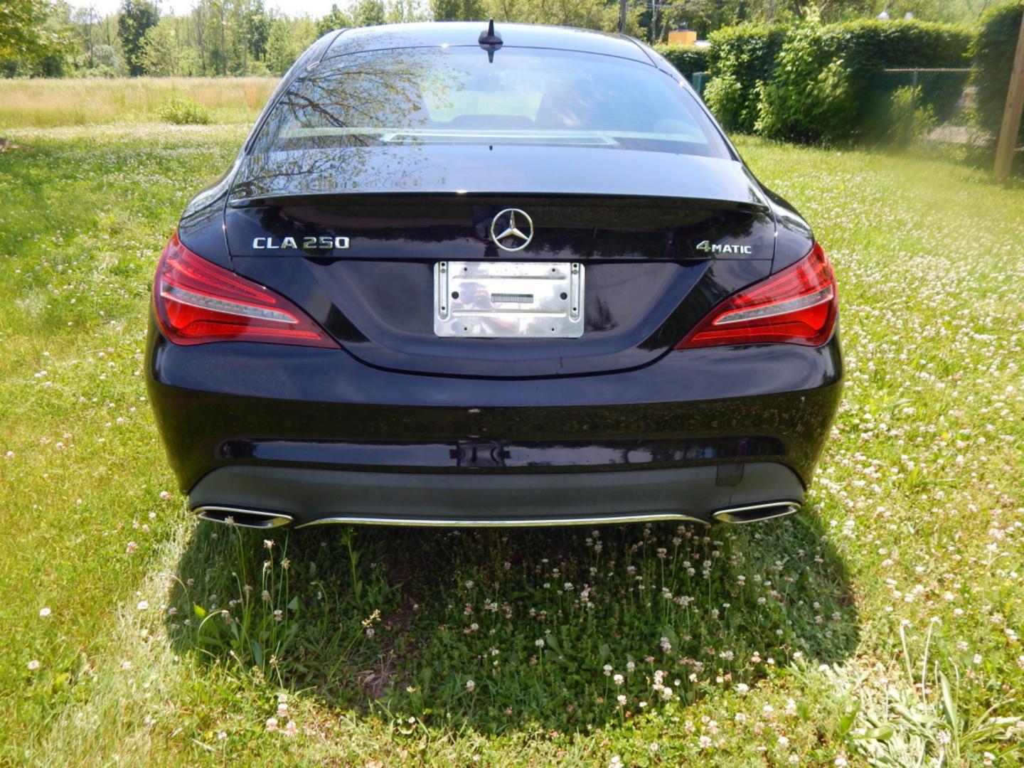 2019 Black /Black Leather Mercedes-Benz CLA-Class CLA250 4MATIC (WDDSJ4GB2KN) with an 2.0L L4 DOHC 16V engine, 7A transmission, located at 6528 Lower York Road, New Hope, PA, 18938, (215) 862-9555, 40.358707, -74.977882 - Here we have a beautiful Mercedes CLA 250 with a 2.0L 4 cylinder engine putting power to all four wheels via an automatic transmission. Options include: black leather, dual power seats, dual climate controls, AM/FM/CD/MEDIA and navigation radio, tilt steering wheel, cruise control, automatic headlig - Photo#7